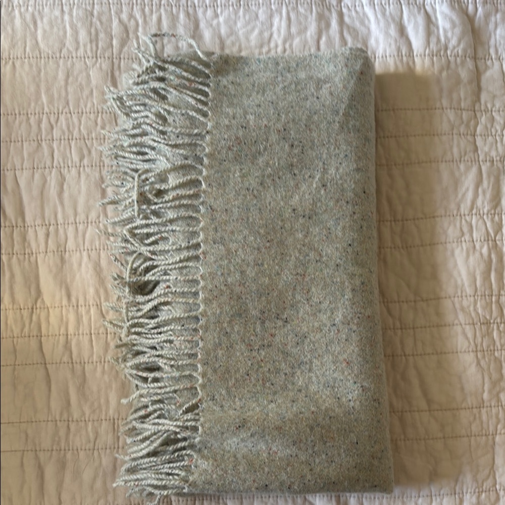 Madewell Gray Fringe Scarf